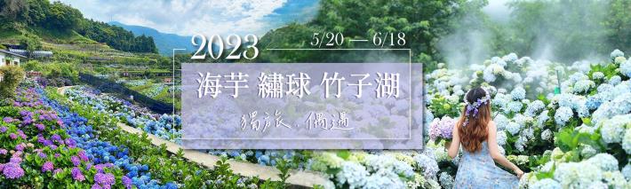 2023竹子湖繡球花季