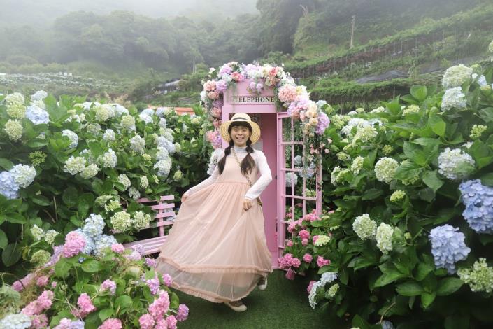 今年曹家花田香的地景藝術以粉紅色浪漫告白電話亭為造景，吸引民眾打卡_0