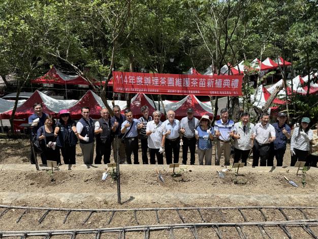 南港區農會於理事長帶領大家種下茶苗_0