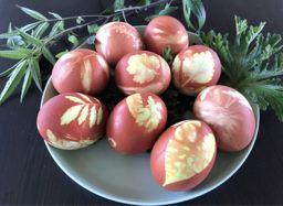 洋蔥不只會讓人流淚，還能創造繽紛又療癒的小驚喜！_0