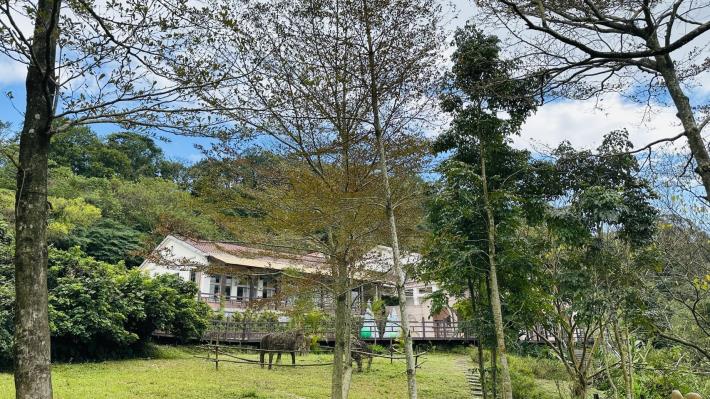 南港茶製場周景_0