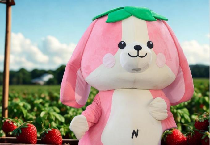 圖6.莓寶公仔示意圖