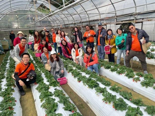 圖4-公司團體採莓趣示意圖