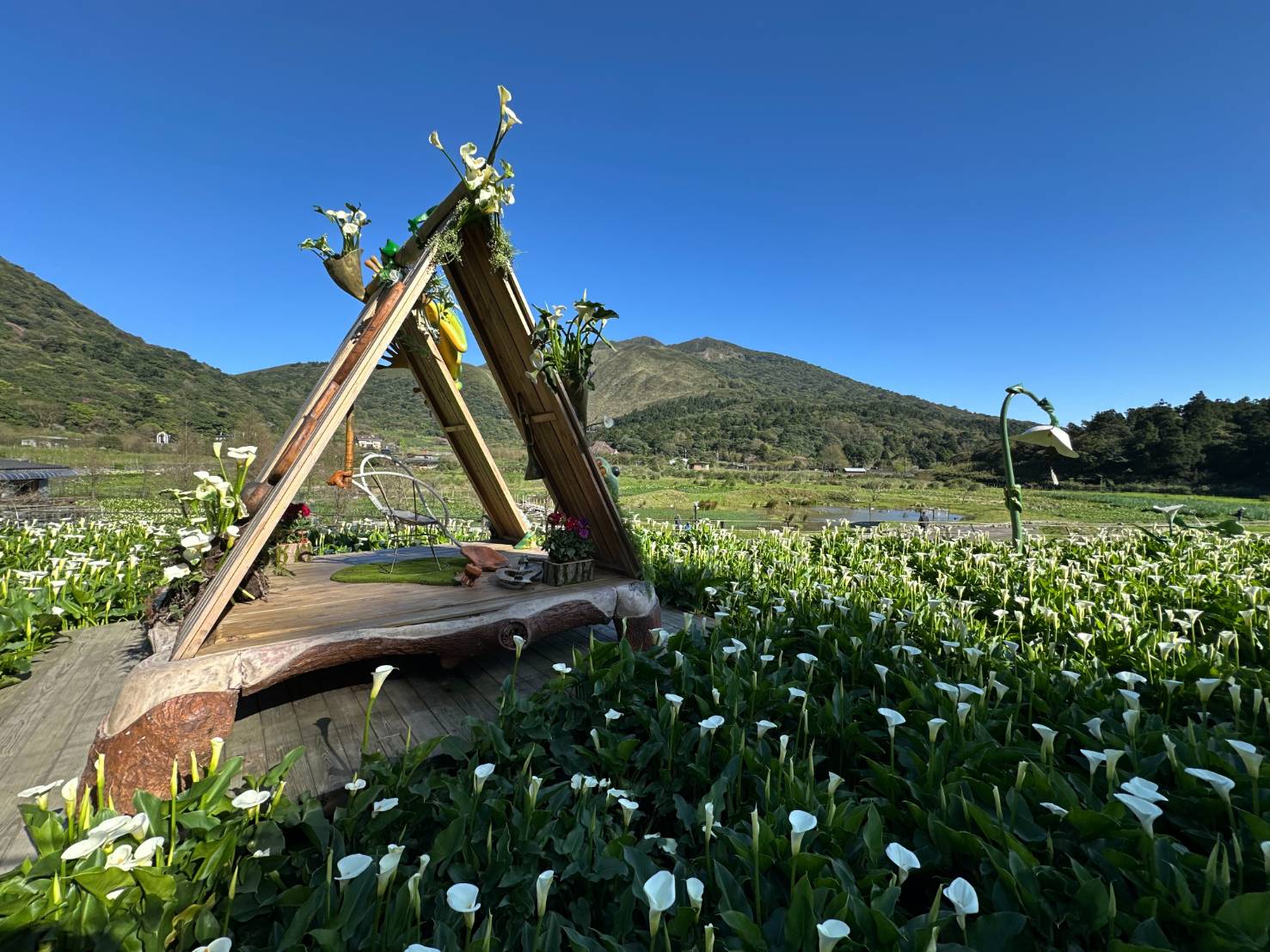 地景藝術競賽金牌獎[海芋風鈴下的蛙聲]