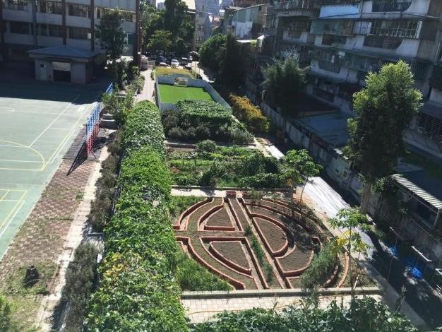 圖2.太平國小小田園(太平國小提供)