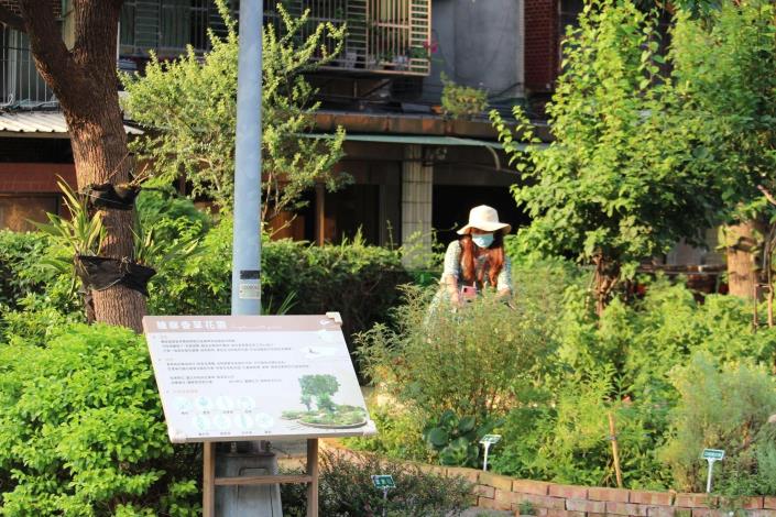 圖3.糖廍香草花園(香草花園班長花敏捷提供)