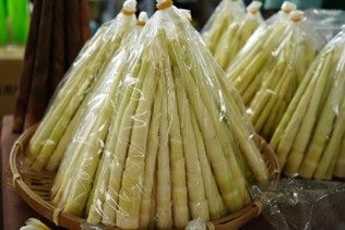 花蓮箭筍