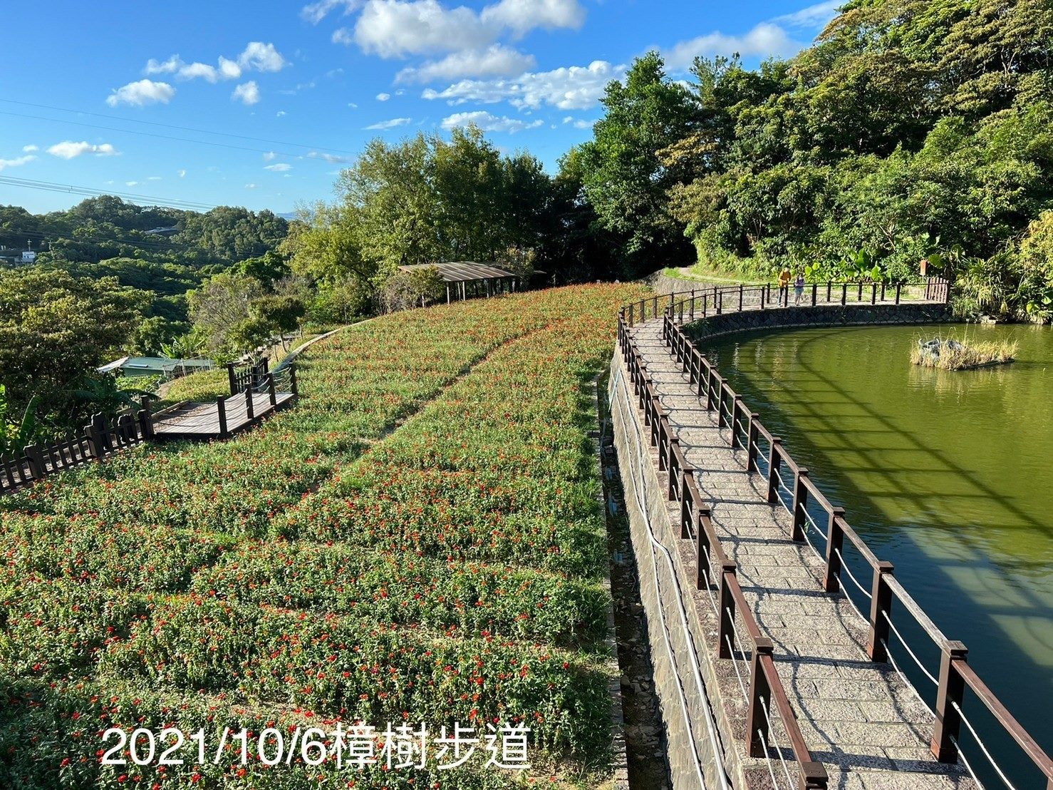 漫步貓空步道