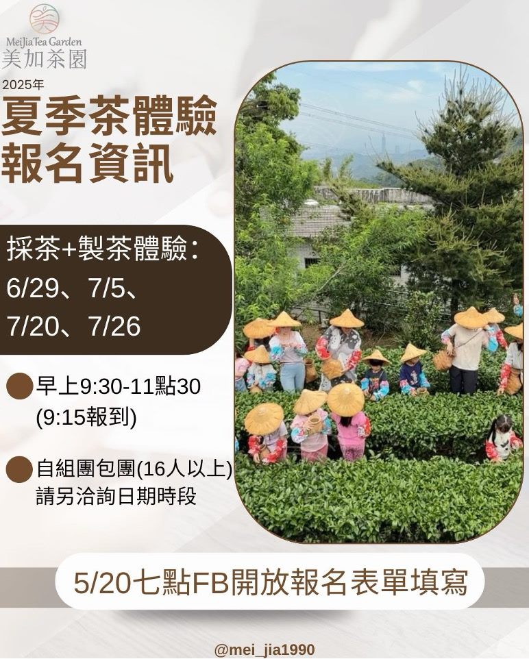 (圖片來源:FB 美加茶園 Mei-Jia Tea Garden)