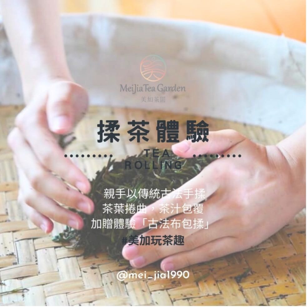 (圖片來源:FB 美加茶園 Mei-Jia Tea Garden)