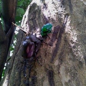 圖片來源:FB 北投 二崎生態休閒農場