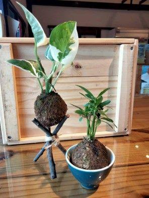 (圖片來源:FB梅居休閒農場-陽明山蔬食)
