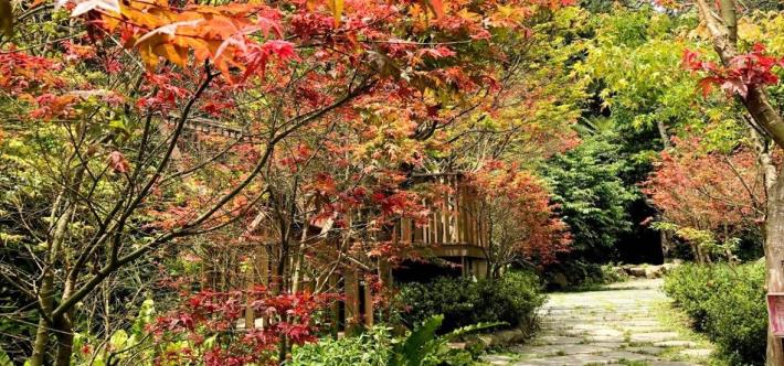 圖片來源 農遊超市3