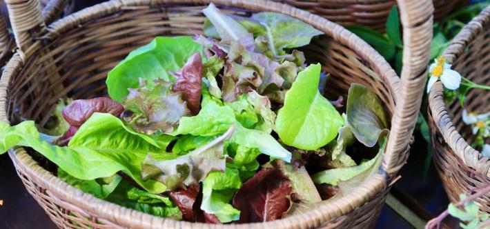 圖片來源 農遊超市