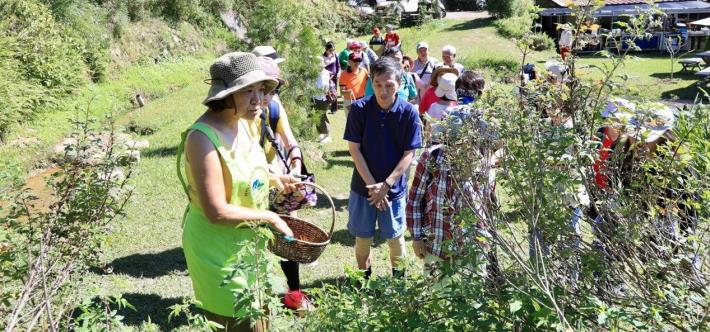 圖片來源 農遊超市2