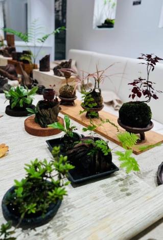 陳雨盛掌心裡的小陶盆栽展2