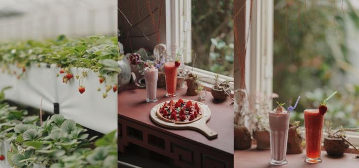 圖片來源  農遊超市