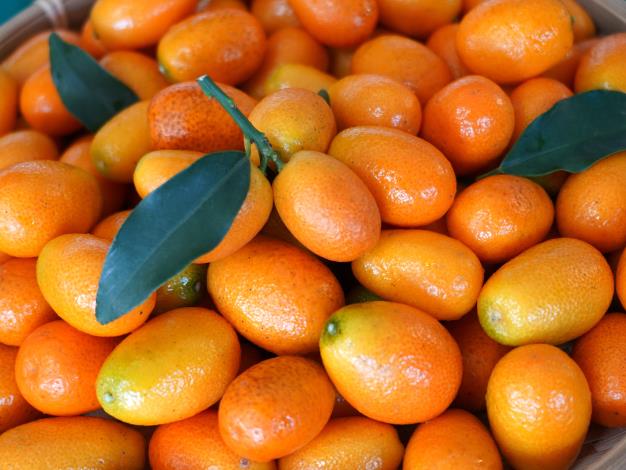 圖1. 宜蘭黃金柑.JPG