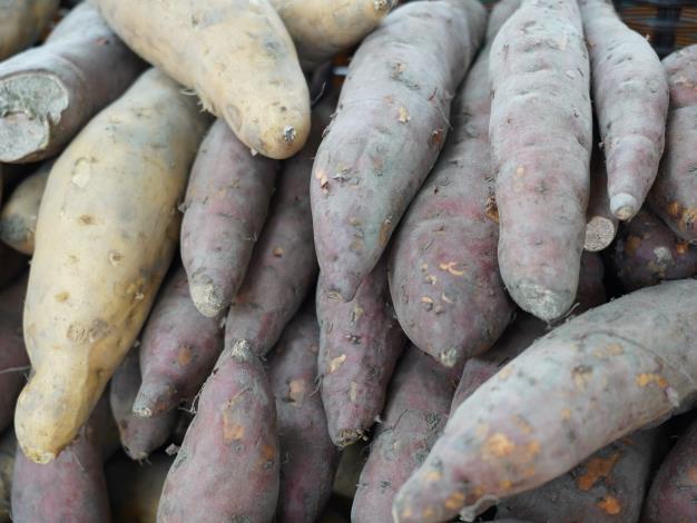 圖5. 雲林雜糧-甘藷