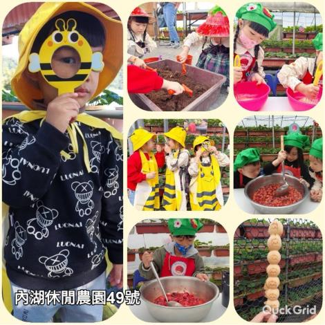 (圖片來源:內湖休閒農園臉書)