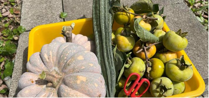 (圖片來源-農遊超市)