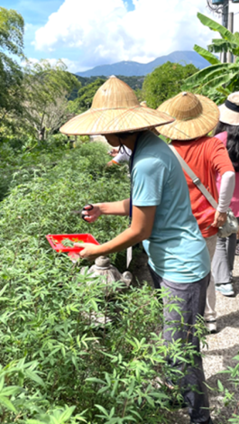 圖片來源 ESG 永續農遊－企業體驗踩線團3