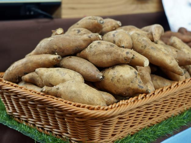 圖4. 雲林地瓜.JPG