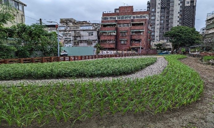 懷德街78巷平地示範農園