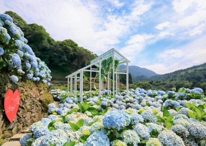 2022繡球花季地景藝術展