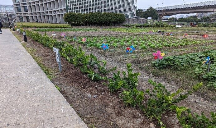 松菸食農教育園區