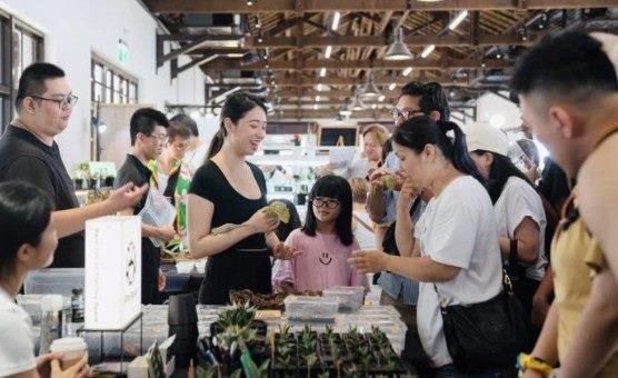 113年7月5日至7月7日艸植派對-爬蟲飼養職人與民眾交流