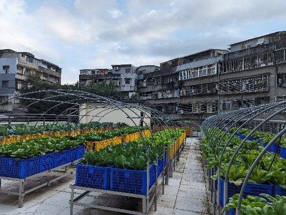 景聯區民活動中心綠屋頂