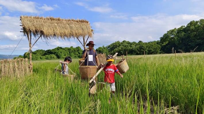 關渡那麼田_親子稻田運動會
