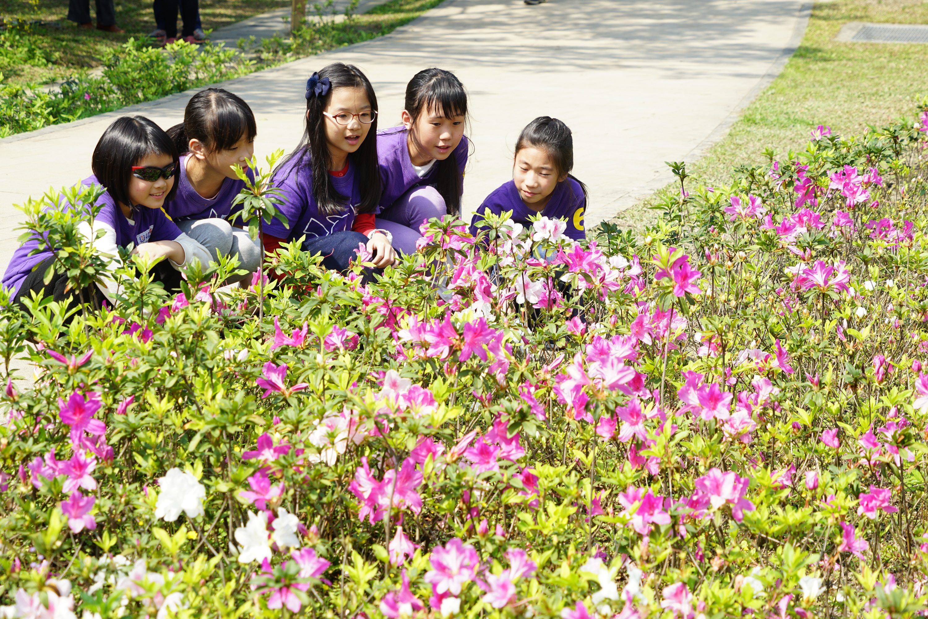 臺北市政府觀光傳播局 新聞稿 植樹節以花代樹副市長與學子種下美麗城市的夢想