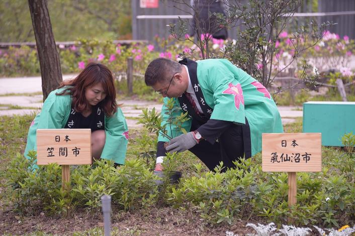 來自日本的杜鵑花城市參與臺北杜鵑花季，共同種植杜鵑花