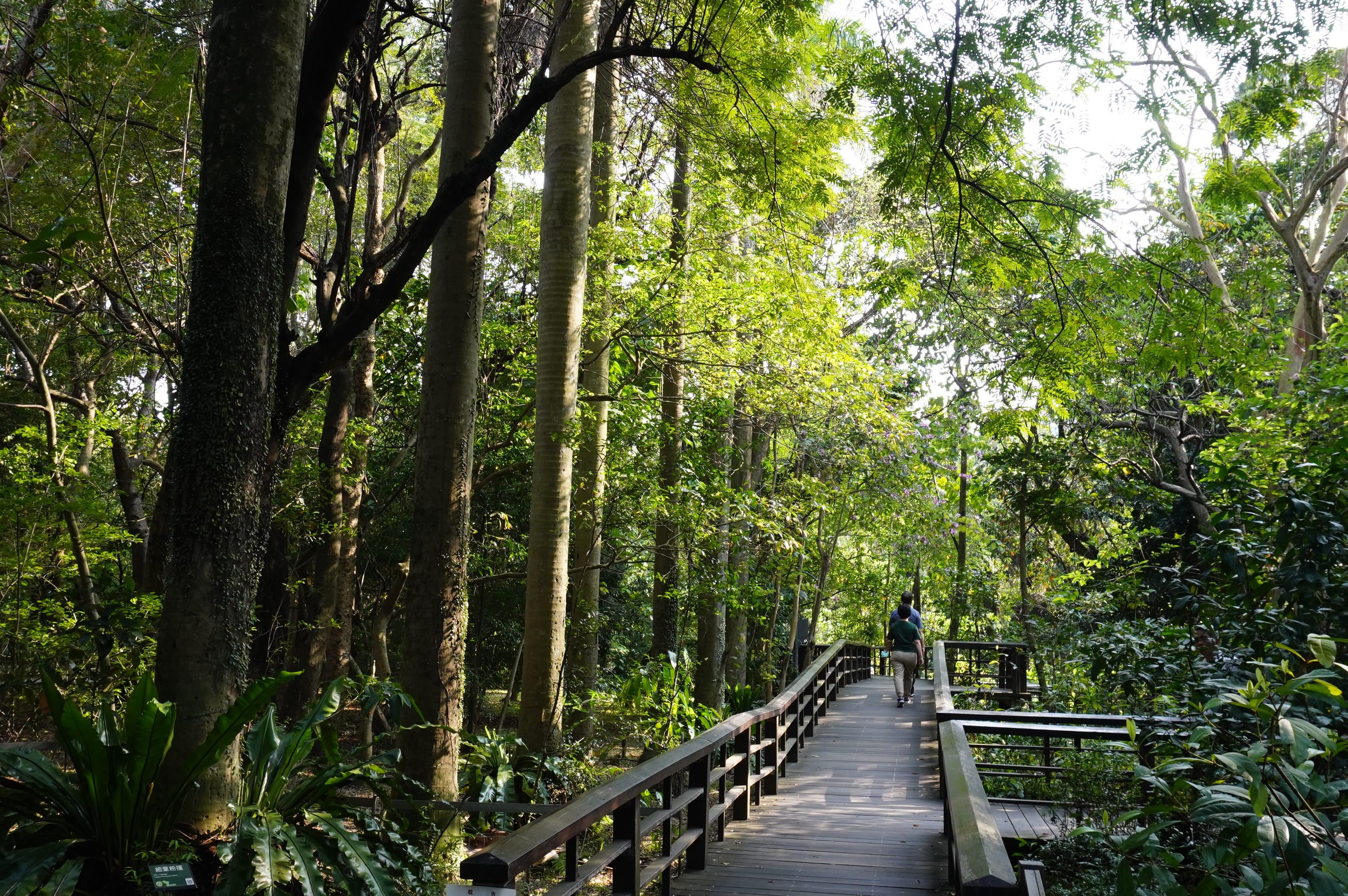位在城南的臺北植物園為城南一帶增添悠閒、綠意氛圍。