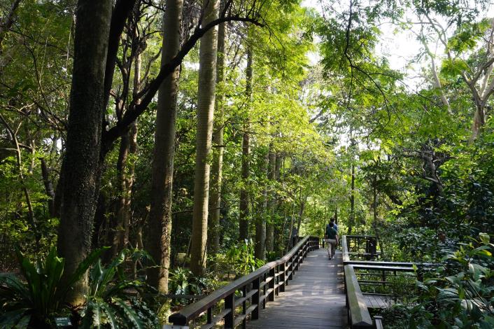 位在城南的臺北植物園為城南一帶增添悠閒、綠意氛圍。.JPG