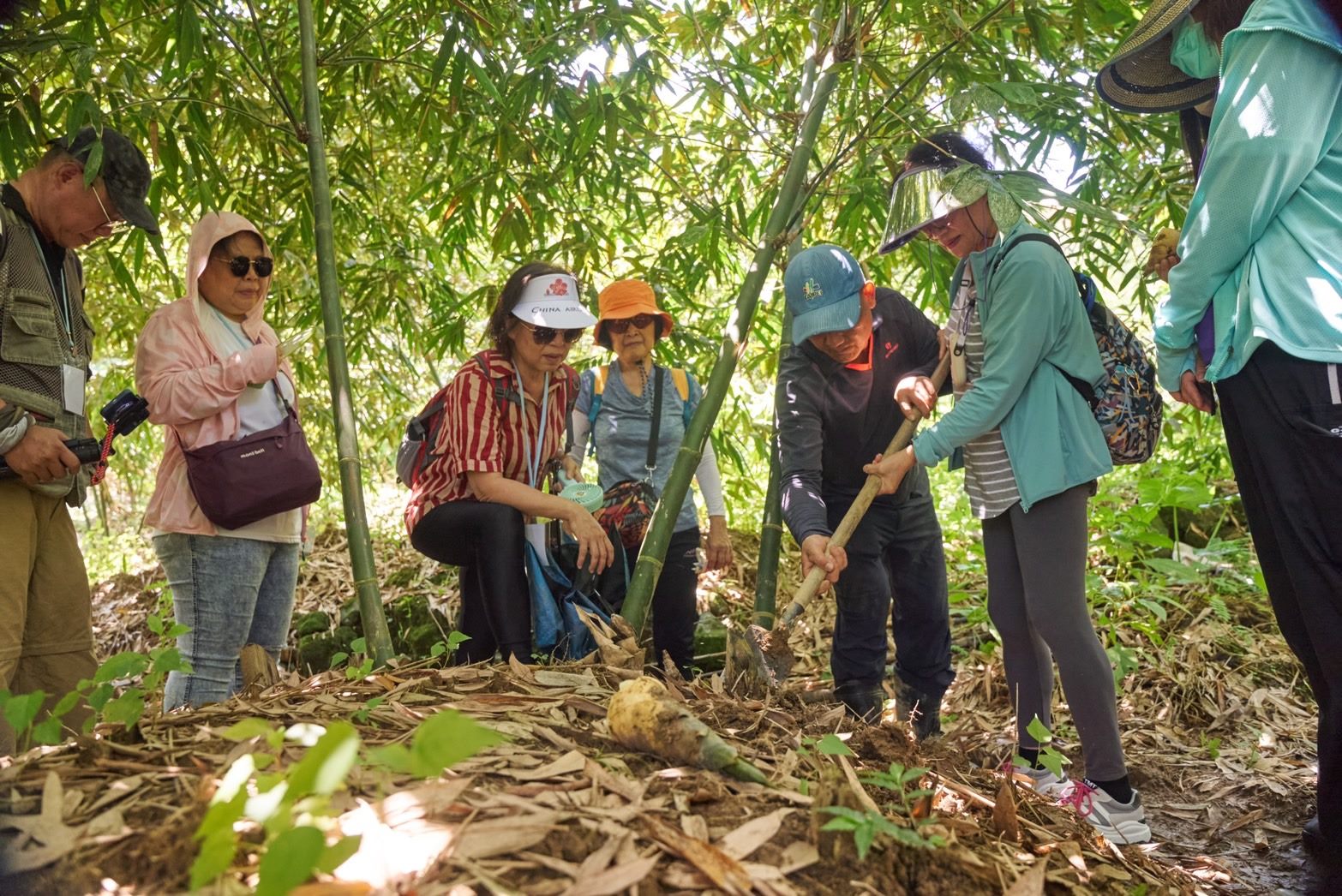 參與民眾依循筍農教授的採筍技巧，親手挖出鮮嫩竹筍。