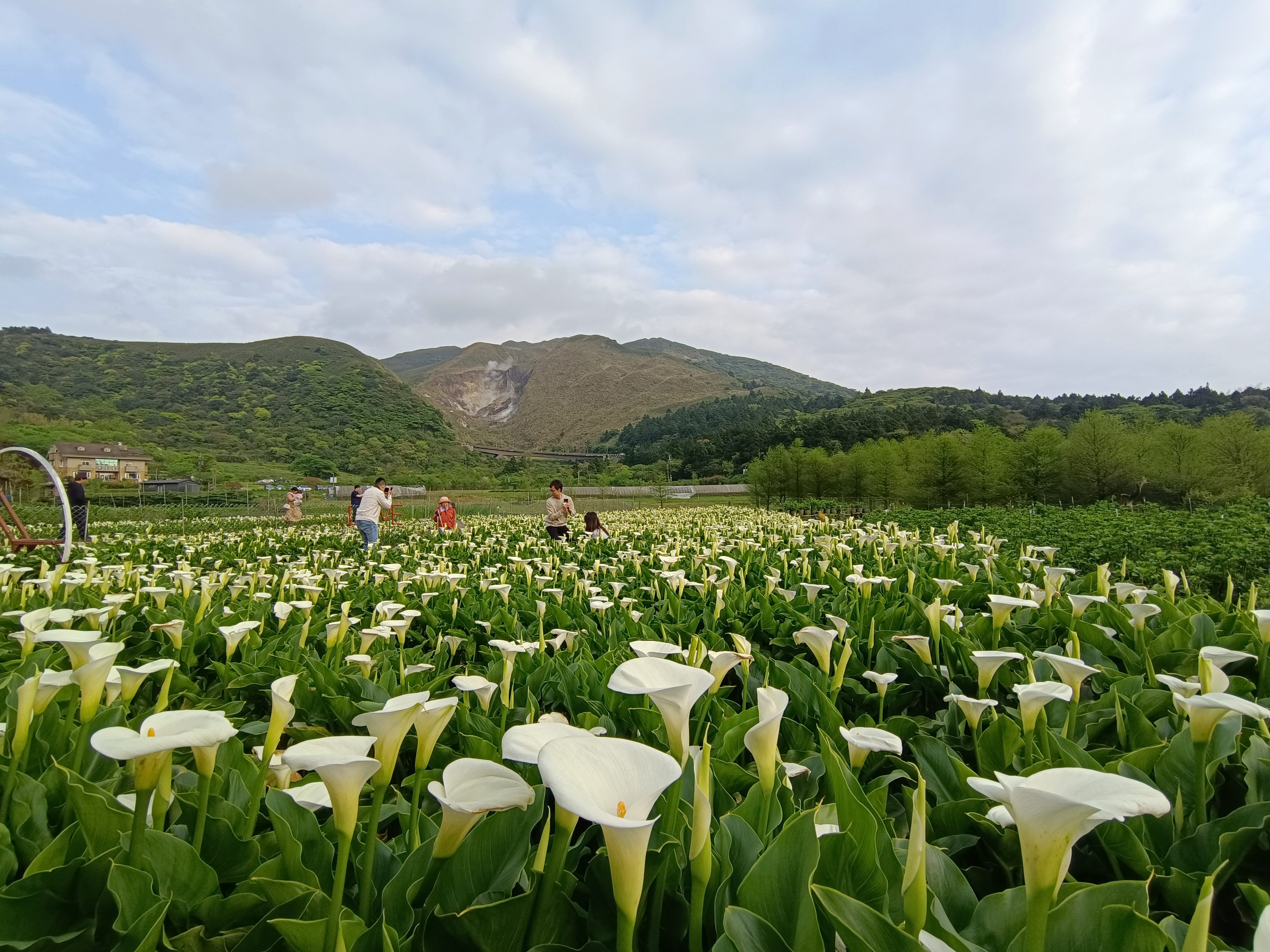 圖片來源：臺北市政府
