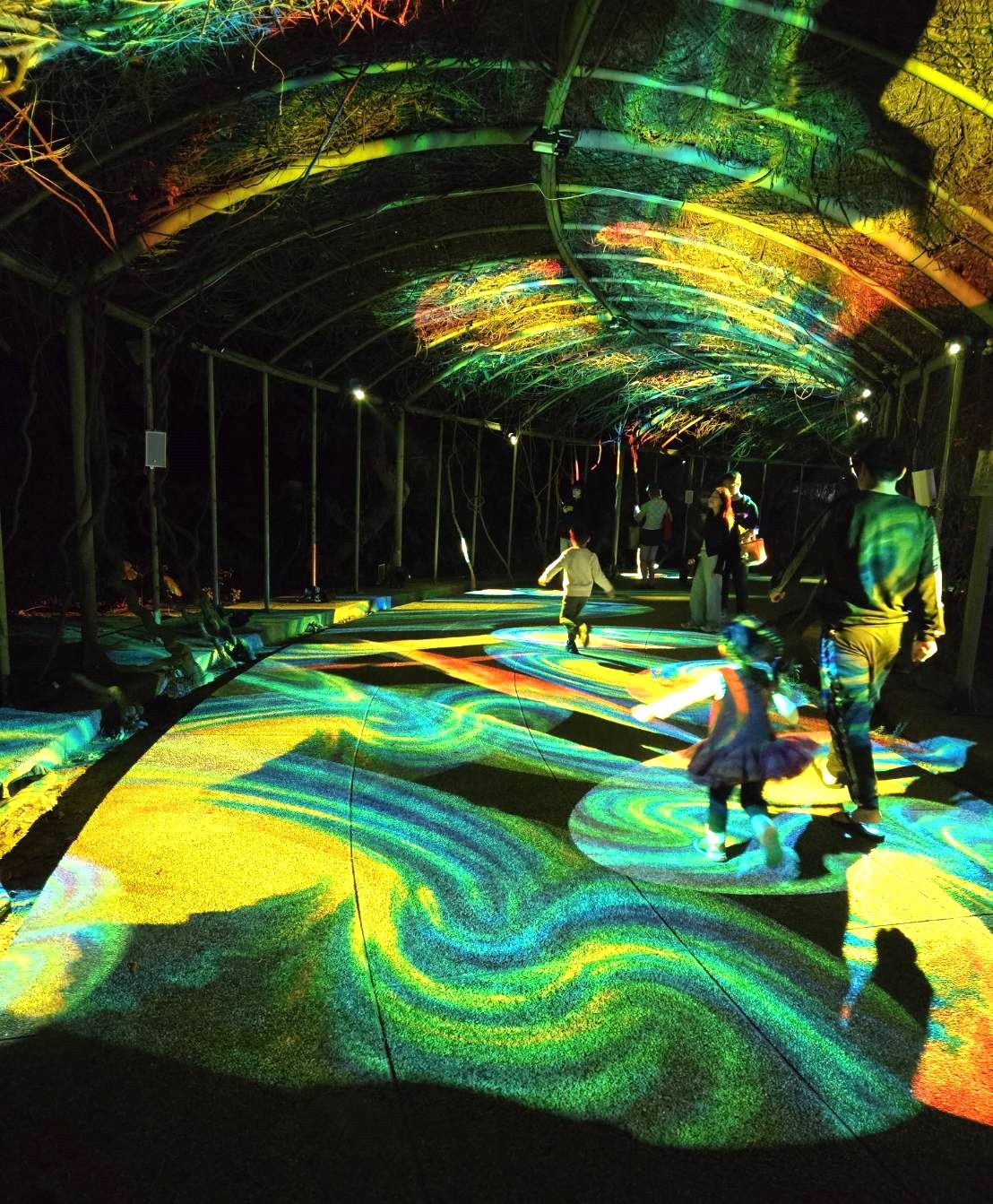 花博展區「森光行道」透過光影與步伐互動，打造共感式體驗