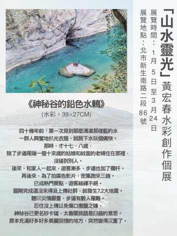 《神秘谷的鉛色水鶇》