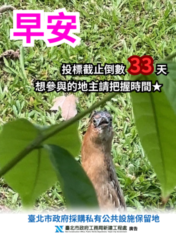 2.地瓜早安圖0817發_(倒數33天)