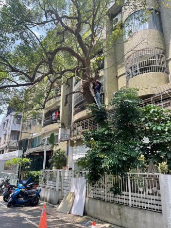 LINE_ALBUM_剪樹0703_241127_9