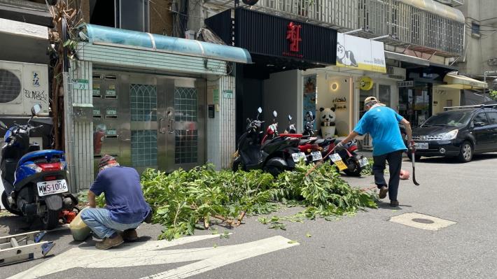 LINE_ALBUM_剪樹0703_241127_5