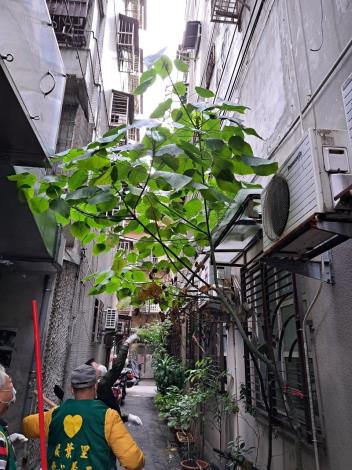 LINE_ALBUM_大掃除 112_1218_240105_16