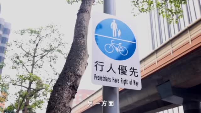 人車分道