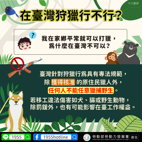 在台灣狩獵行不行