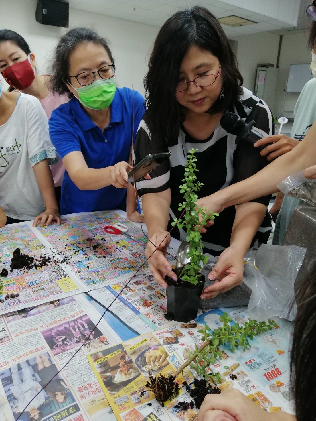 老師現場教導如何製作1盆造型盆栽
