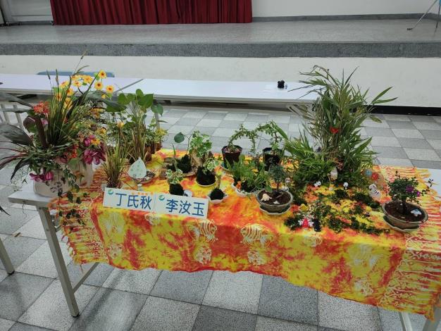 學員的成果展示