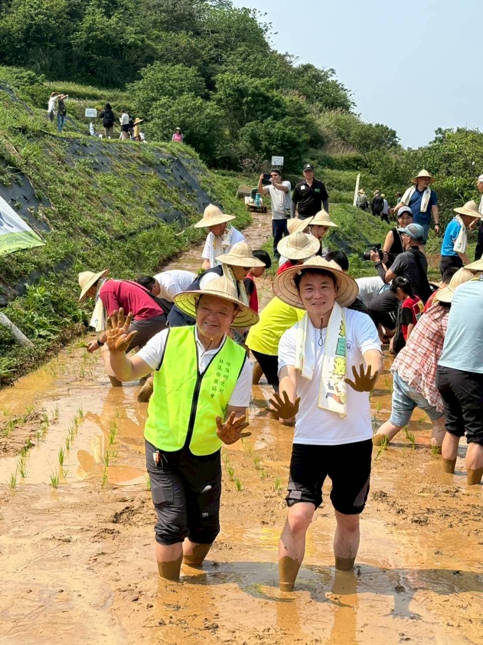 鵝尾山插秧活動示範區
